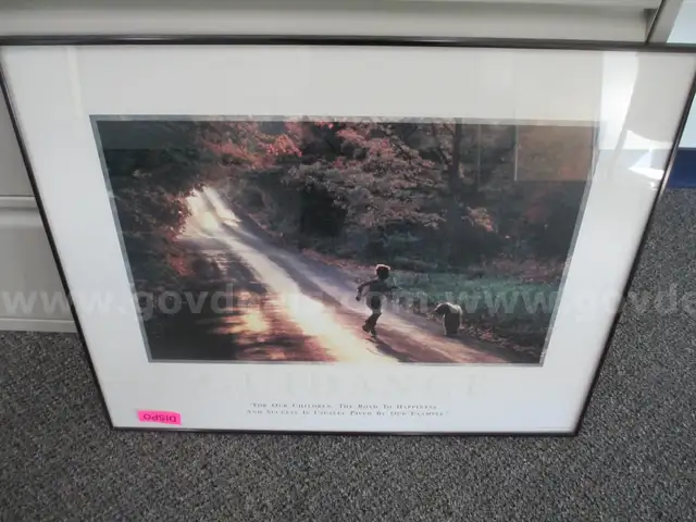 motivational lithograph titled "Guidance," produced by Successories, Inc.. with frame