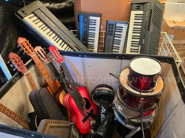 Lot of Various Professional Musical Instruments - Keyboard / Guitar / Violin / Drum set / Etc.