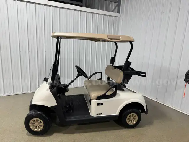 E-Z-GO RXV