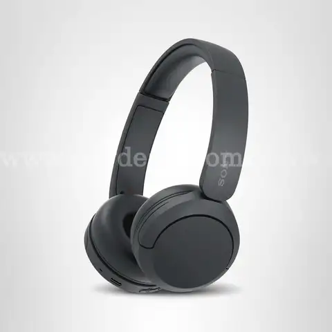 SONY WIRELESS HEAD PHONE (BT)