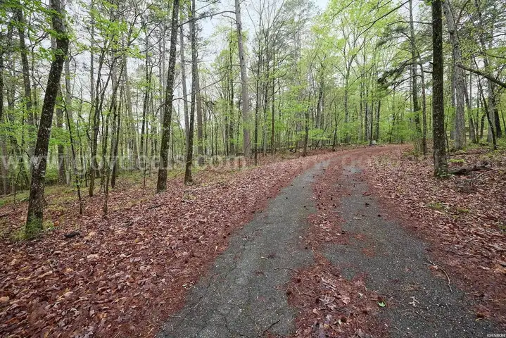 AMAZING LAKE VIEW (0.65 Acres)| Ideal Location for a Private Getaway Home