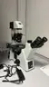 Optika IM-5 Microscope