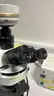 Olympus BX51 Microscope