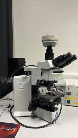 Olympus BX51 Microscope