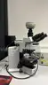 Olympus BX51 Microscope