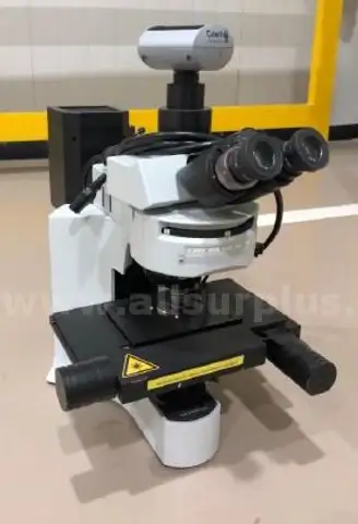 Olympus Eclipse, BX41TF Microscope - RDI Microbiology System