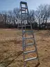 10ft Aluminum Ladder