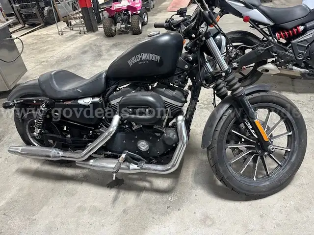 2014 Harley-Davidson XL883N