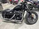 2014 Harley-Davidson XL883N
