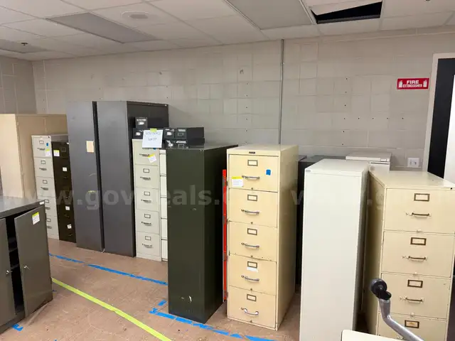 File Cabinets (Lot #17)