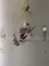 Hobart 140 qt Planetary Mixer V1401