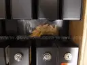 14 Pro-Gard pistol lock boxes