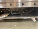 4 well Steam Table