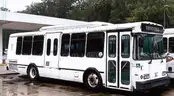 2010 ELDARADO TRANSMARK HEAVY DUTY BUS