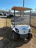 2013 Yamaha Golf Cart