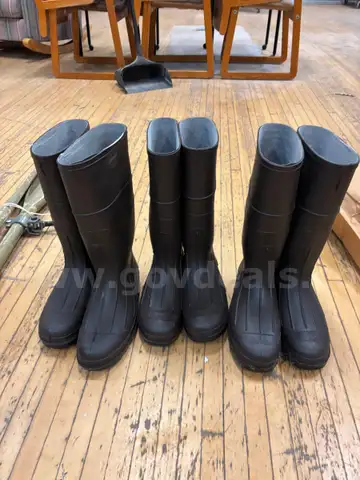 Lot of 3 Sets of Rainboots