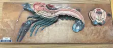 Dissection Model of Crayfish