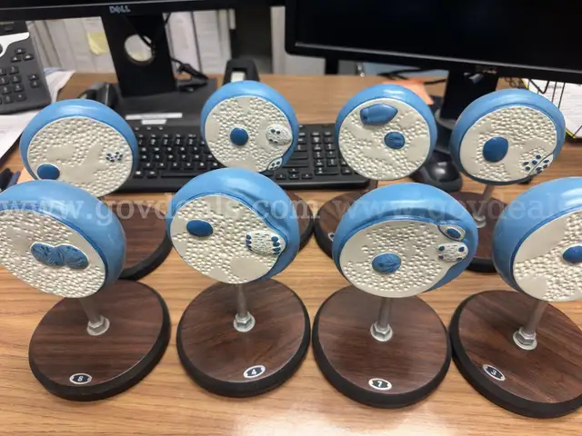 Cell Biology teaching models