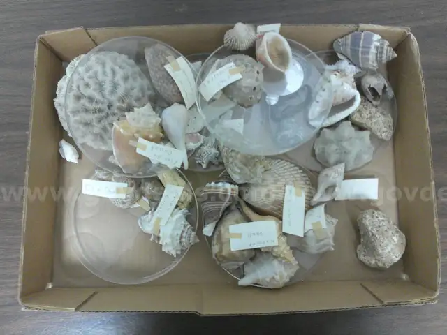 Marine Biology Specimen Collection
