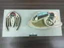 Biology & Anatomy Teaching Models Lot