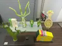 Biology & Anatomy Teaching Models Lot