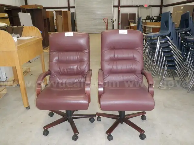 Office Chairs(x2)