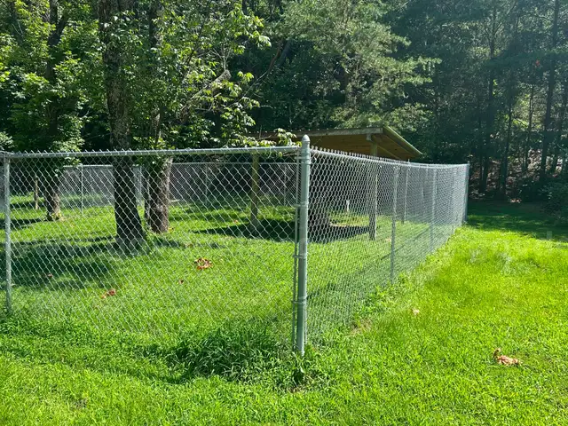 Chain Link Fence