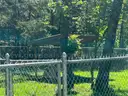 Multiple lean-to pergolas