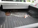 2006 Ford F-250 SD XLT Crew Cab 4WD