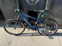Lot of 40 Miscellaneous Bikes