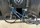 Lot of 40 Miscellaneous Bikes