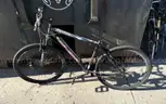 Lot of 40 Miscellaneous Bikes