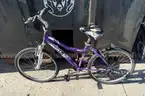 Lot of 40 Miscellaneous Bikes