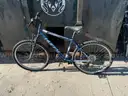 Lot of 40 Miscellaneous Bikes