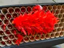 Lot of 181 Orange Marching Band Plumes