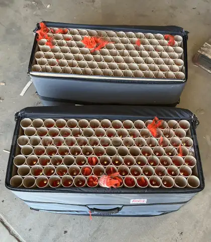 Lot of 181 Orange Marching Band Plumes