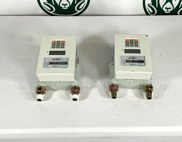 Lot of 2 Stron Prepaid Gas Meters