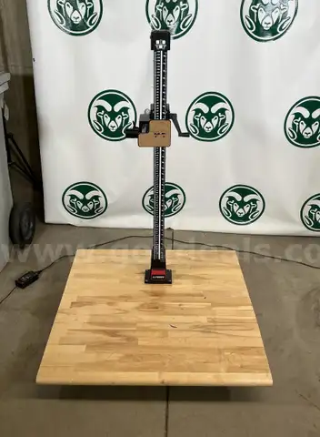 Firenze Super Repro Column with Wooden Base