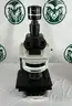 Olympus BX63F Microscope