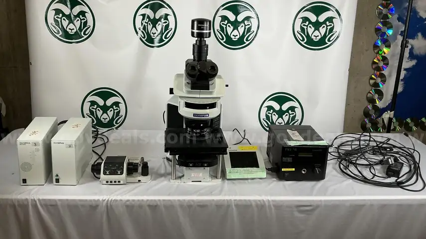 Olympus BX63F Microscope