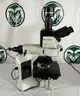 Olympus BX63F Microscope