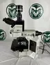 Olympus BX63F Microscope
