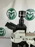 Olympus BX63F Microscope