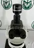 Olympus BX63F Microscope