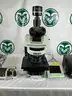 Olympus BX63F Microscope