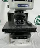 Olympus BX63F Microscope