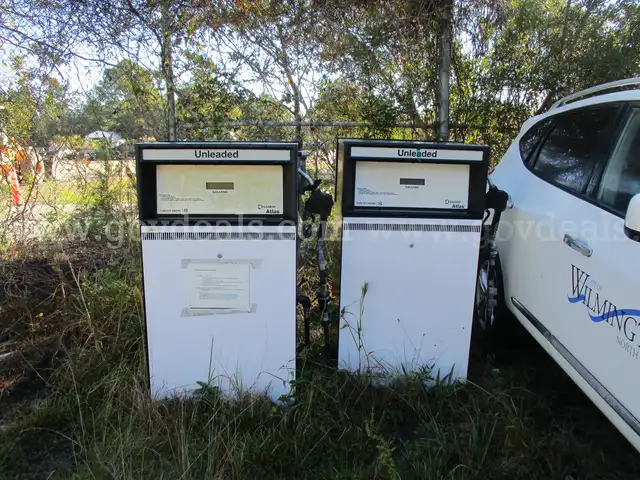2 Gasboy Atlas Fuel Pumps