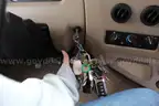 2017 Freightliner M Line Winnebago