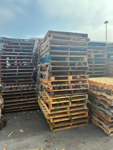 Lot of 230 Wooden Shipping Pallets