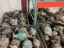 Brass Water Meters